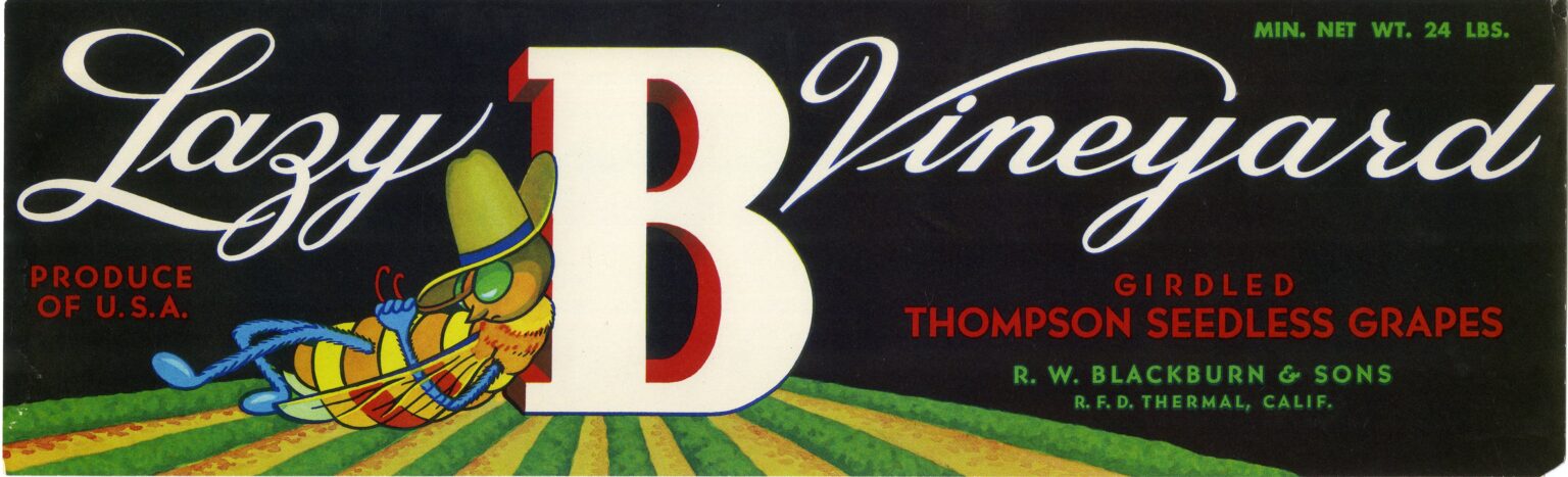Lazy B Vineyard Lazy B Vineyard